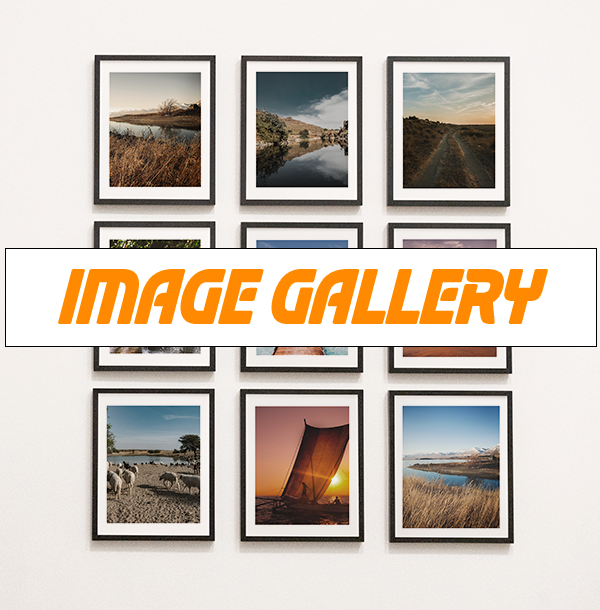 IMAGE GALLERY